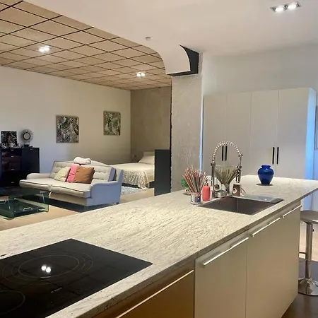 Apartment Exclusivo Loft En Zaragoza5 Zaragoza
