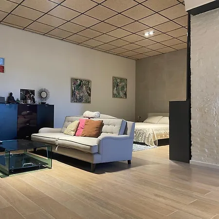 Exclusivo Loft En Zaragoza-5 * Saragossa