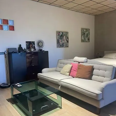 Exclusivo Loft En Zaragoza5